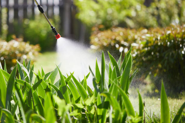 24/7 Emergency Mosquito Control experts in Paloma Creek South, TX